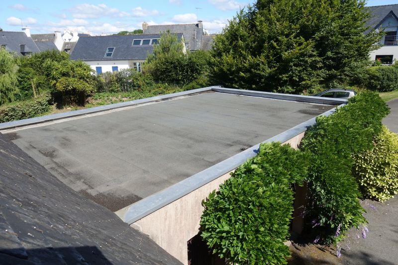 Roof Leak Detection Service detail